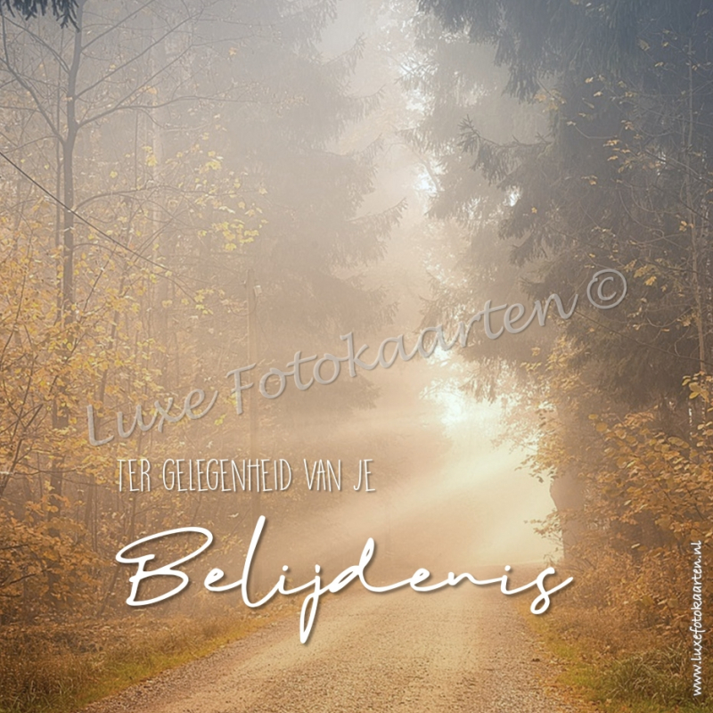 Belijdenis - Zonnestralen